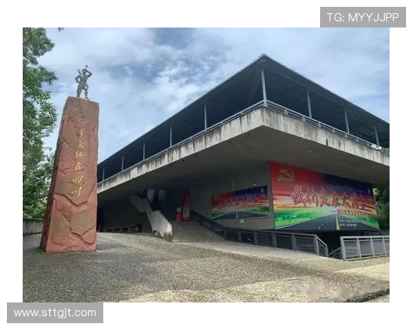 深度对话杨伟讲述他在排球场上的奋斗与成长故事 深度对话杨伟讲述他在排球场上的奋斗与成长故事